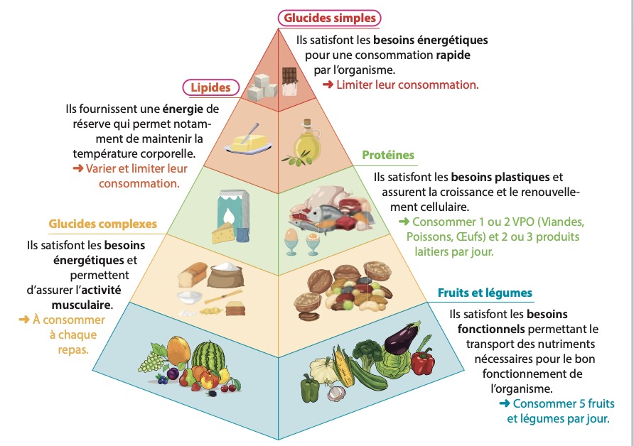 Pyramide des besoins nutritionnels